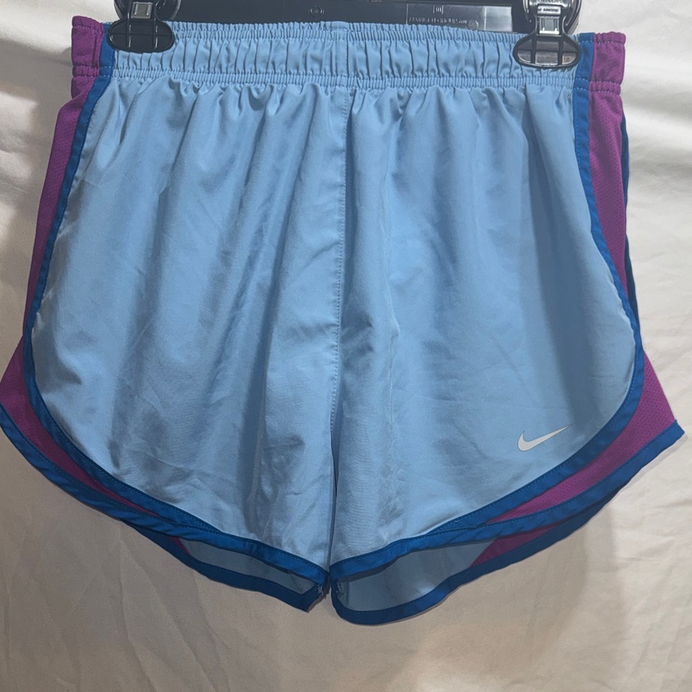 Nike Women's Sky Blue and Magenta Athletic Shorts